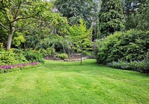 Optimiser l'expérience du jardin à Baudrecourt